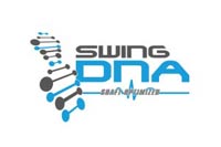 Swing DNA